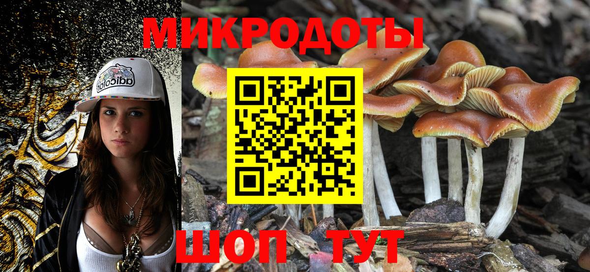 Котлас  Галлюциногенные грибы мицелий  Вход с VPN 