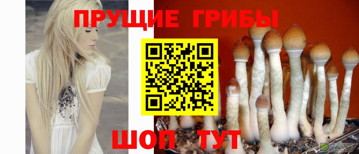 Галлюциногенные грибы мицелий Котлас