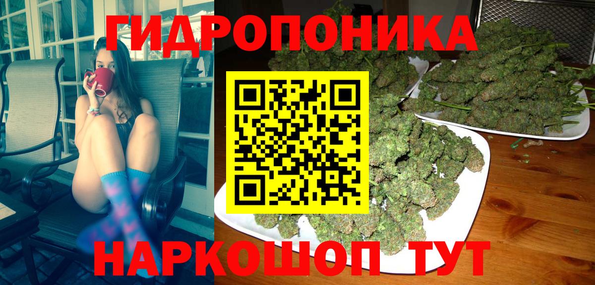 МАРИХУАНА White Widow Котлас